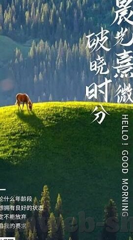 世界杯足球客场主场-世界杯足球，客场与主场的较量